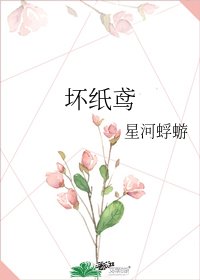 壞紙鳶
